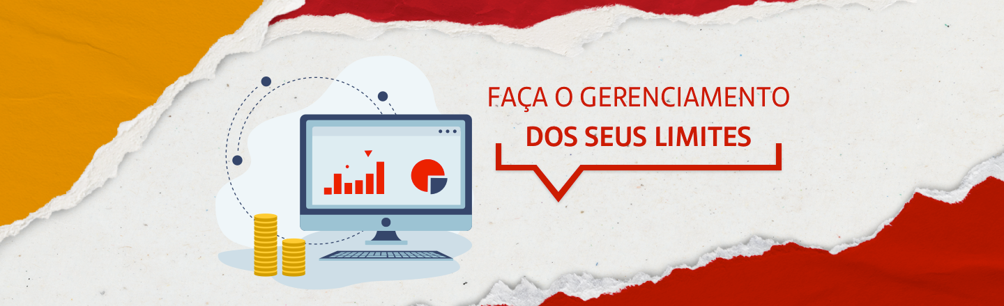 Na imagem temos um texto à direita com a frase ‘Faça o gerenciamento dos seus limites’. Já à esquerda, temos uma ilustração que representa um computador com uma planilha de finanças.